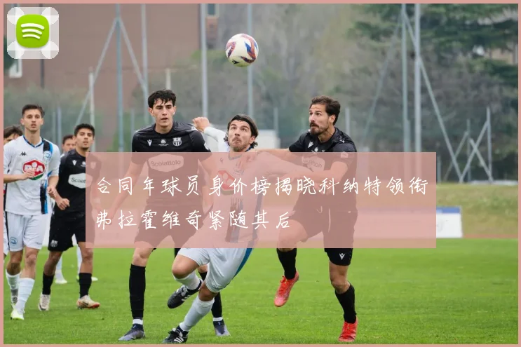 合同年球员身价榜揭晓科纳特领衔弗拉霍维奇紧随其后