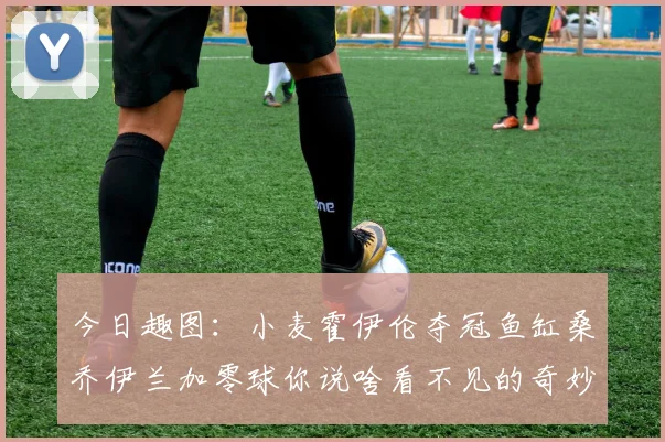 今日趣图：小麦霍伊伦夺冠鱼缸桑乔伊兰加零球你说啥看不见的奇妙瞬间