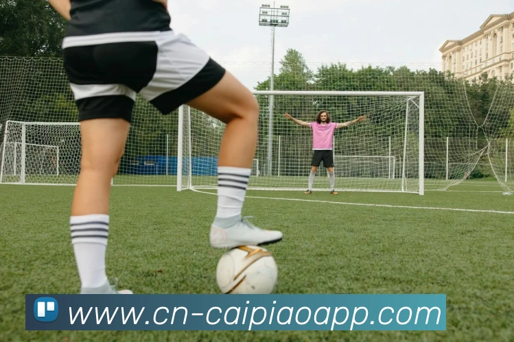 大发彩票品牌故事